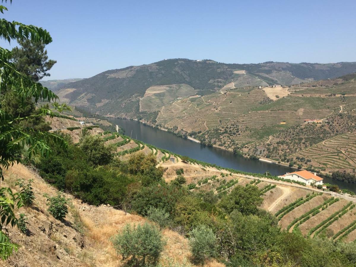 Refugio D'Anita Douro Valley House Barcos Kültér fotó